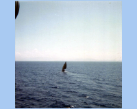 1968 05 South Vietnam - Chasing down a Fishing Junk.jpg